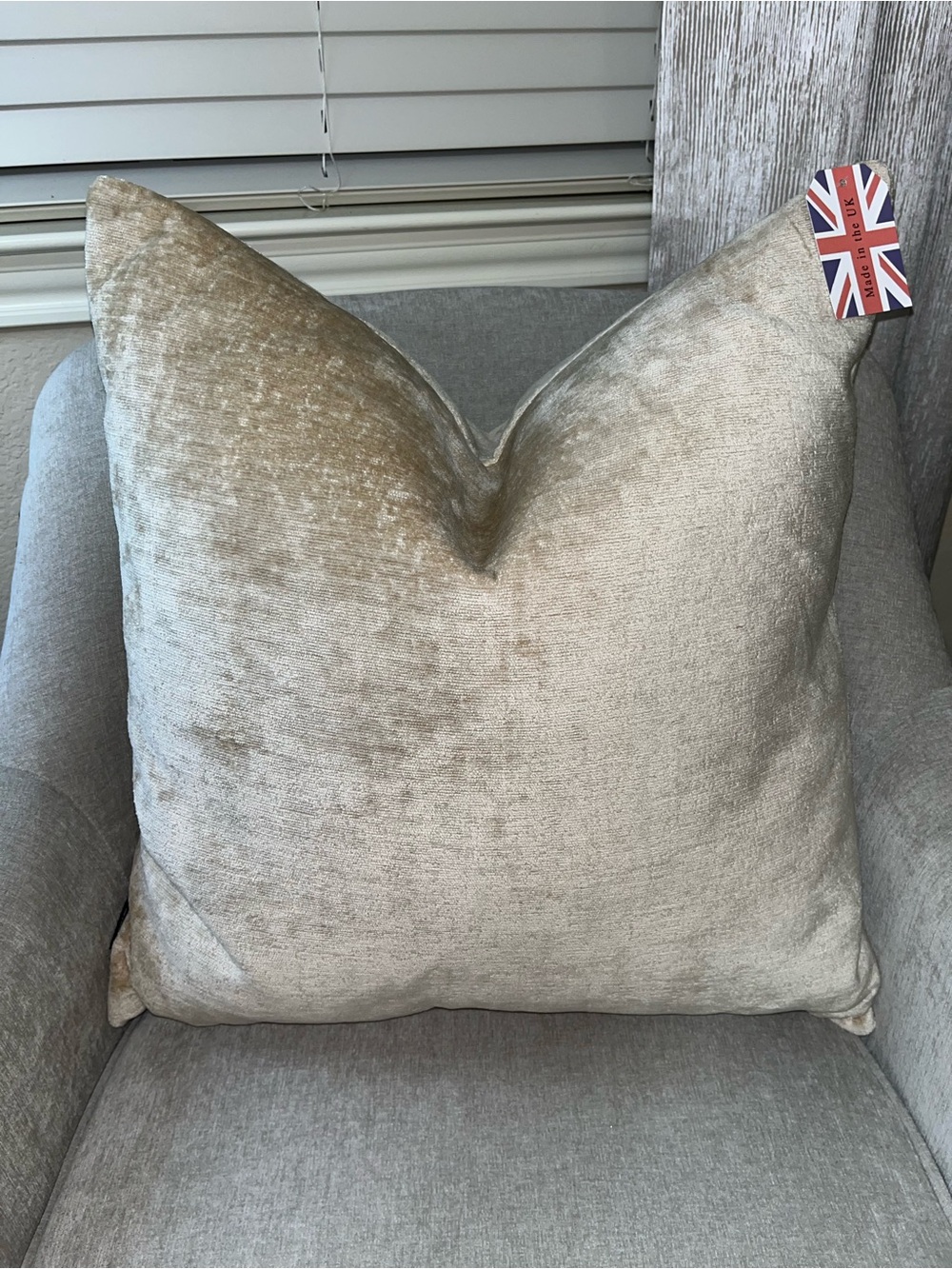 1-NWT CALDEIRA CHAMPAGNE GOLD CHENILLE VELVET LUXURY DECORATIVE PILLOW